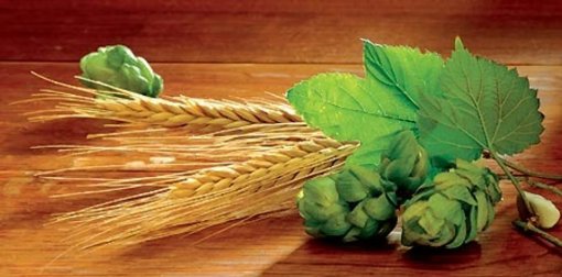 Smak og behag med humle og malt